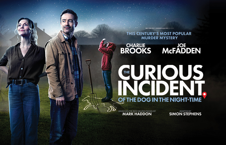 The Curious Incident of the Dog in the Night-time - Curve Theatre, Leicester